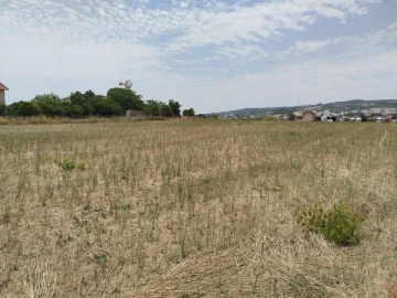 Terreno para Venda em Carregado e Cadafais