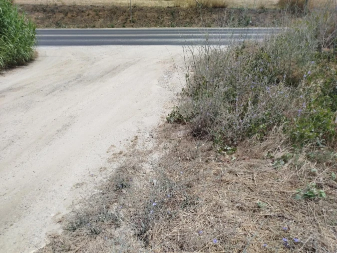 Terreno para Venda em Carregado e Cadafais Foto 6