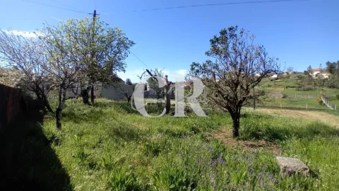 Moradia T5 para Venda em Arega
