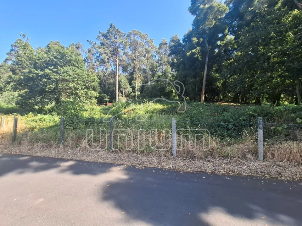 Terreno para Venda em Lanhelas Foto 2