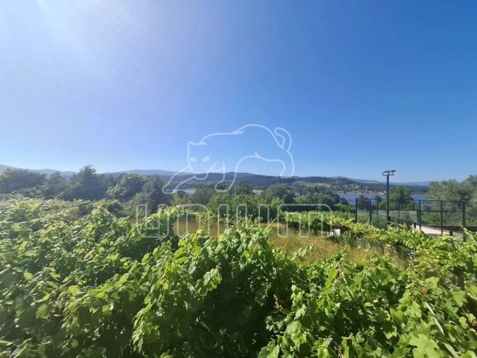 Terreno para Venda em Lanhelas Foto 5