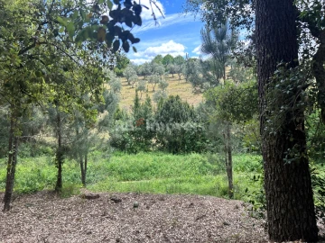 Terreno Agricola ou Rústico para Venda em Ferreira do Zezere