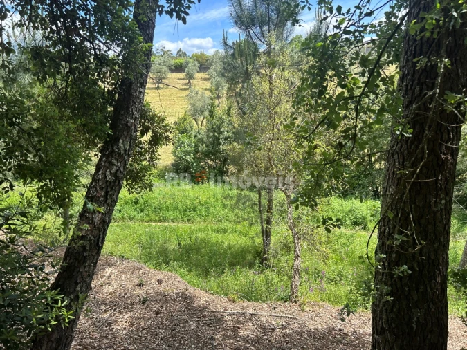 Terreno Agricola ou Rústico para Venda em Ferreira do Zezere Foto 5