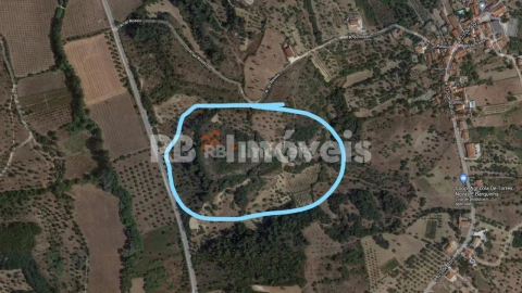 Terreno Agricola ou Rústico para Venda em Torres Novas (Santa Maria, Salvador e Santiago)
