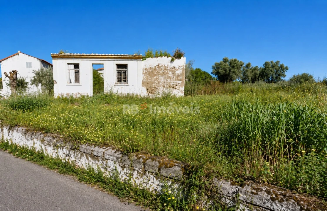 Terreno para Venda em Mouriscas Foto 2