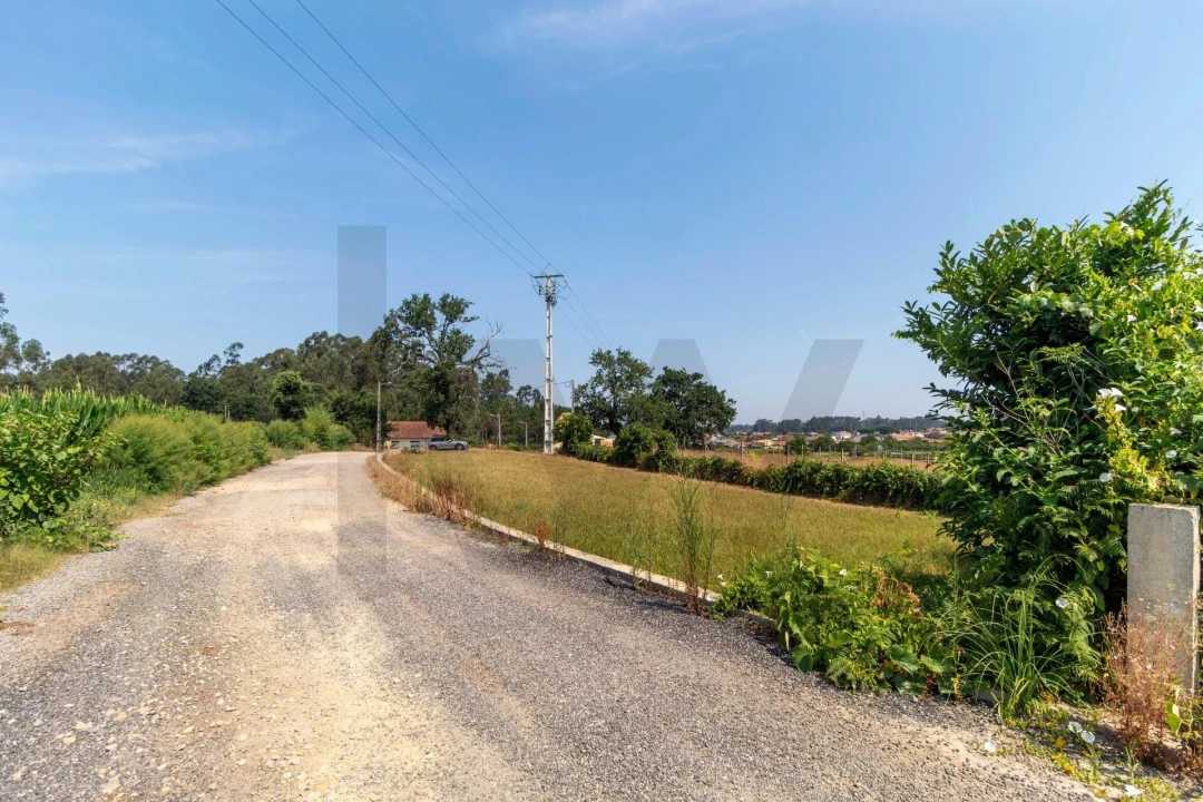 Terreno para Venda em Beduído e Veiros Foto 5