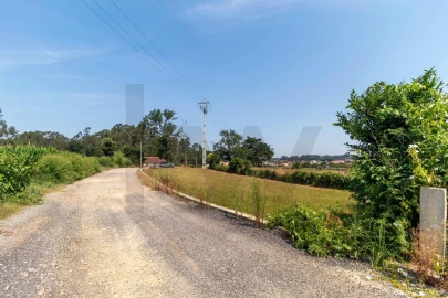 Terreno para Venda em Beduído e Veiros