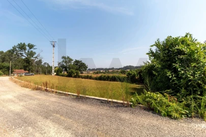 Terreno para Venda em Beduído e Veiros
