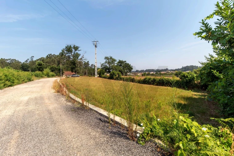 Terreno para Venda em Beduído e Veiros Foto 13