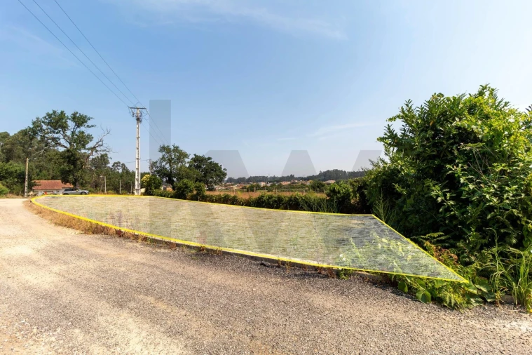 Terreno para Venda em Beduído e Veiros Foto 4