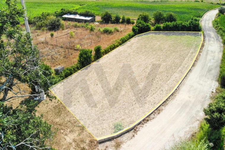 Terreno para Venda em Beduído e Veiros Foto 14