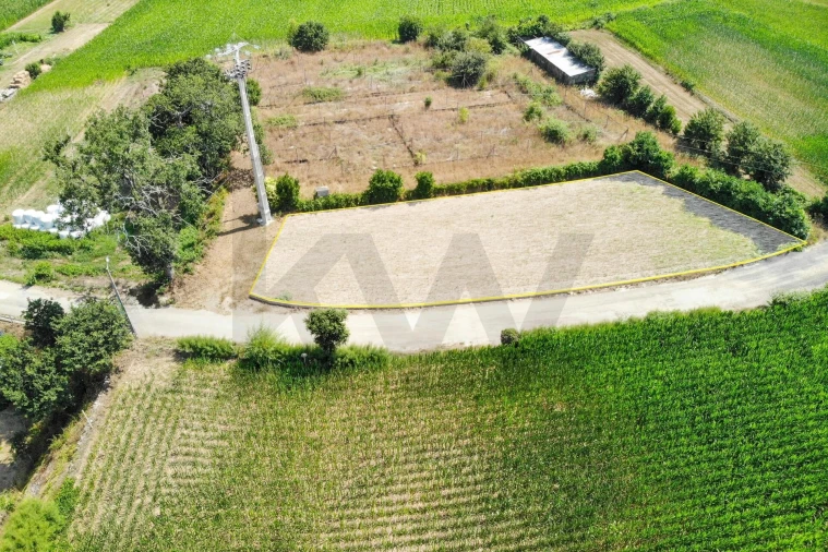 Terreno para Venda em Beduído e Veiros Foto 16