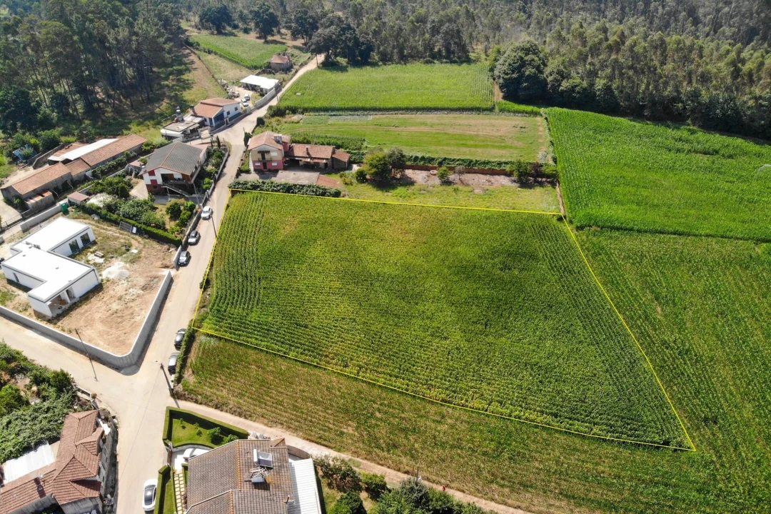 Terreno para Venda em Loureiro Foto 18