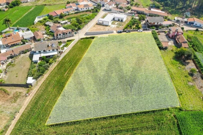Terreno para Venda em Loureiro
