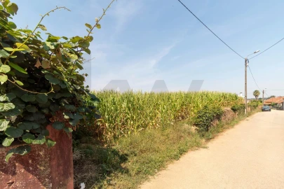 Terreno para Venda em Loureiro