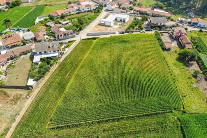 Terreno para Venda em Loureiro