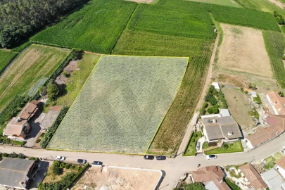 Terreno para Venda em Loureiro