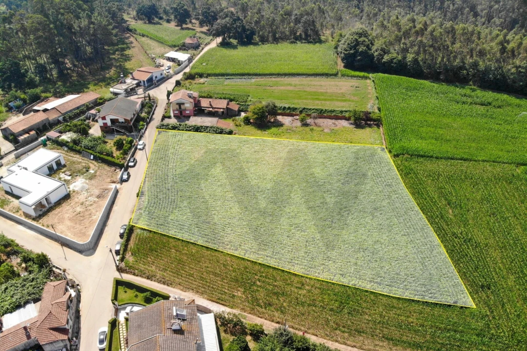 Terreno para Venda em Loureiro Foto 19