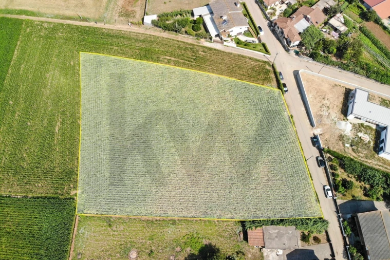 Terreno para Venda em Loureiro Foto 10