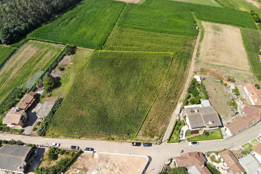Terreno para Venda em Loureiro Foto 22