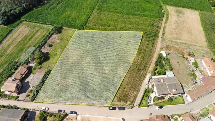 Terreno para Venda em Loureiro