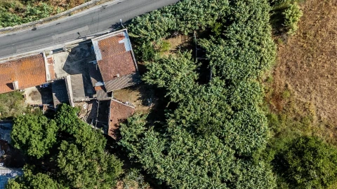 Terreno para Venda em Caparica e Trafaria