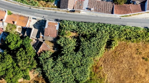 Terreno para Venda em Caparica e Trafaria