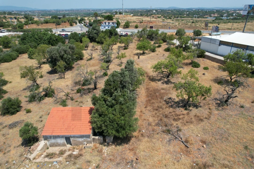 Terreno para Venda em Alcantarilha e Pêra Foto 8