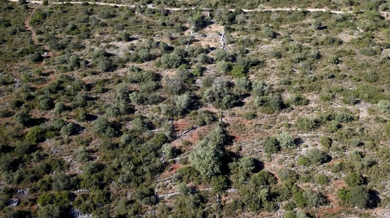 Terreno para Venda em Salir Foto 17