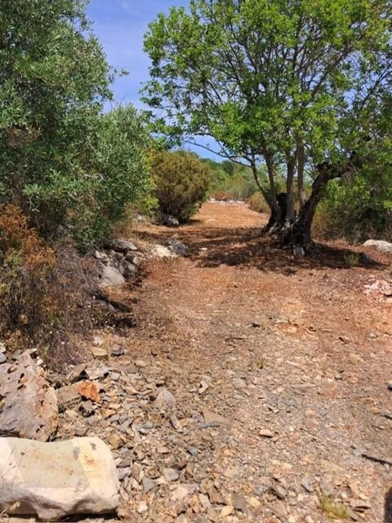 Terreno para Venda em Salir Foto 37
