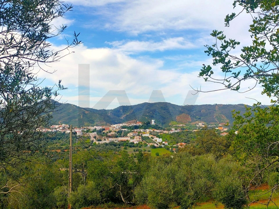 Terreno para Venda em Salir Foto 18