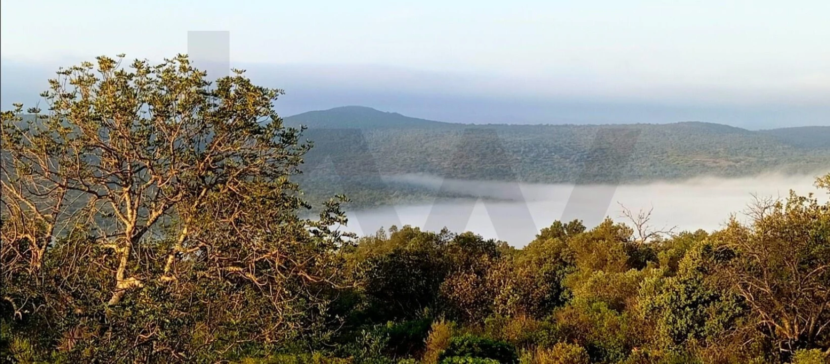 Terreno para Venda em Salir Foto 39