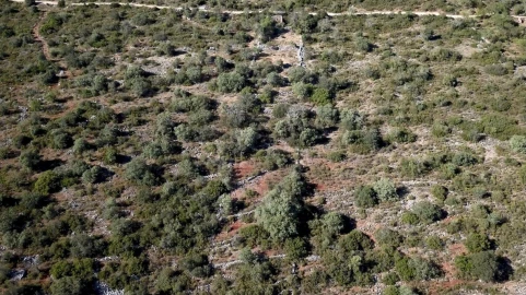 Terreno para Venda em Salir