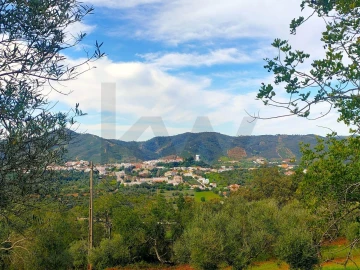 Terreno para Venda em Salir