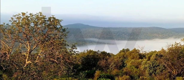 Terreno para Venda em Salir