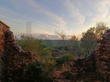 Terreno para Venda em Salir
