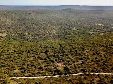 Terreno para Venda em Salir