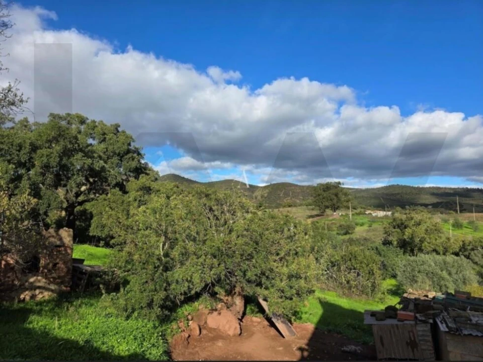 Terreno para Venda em Salir Foto 6