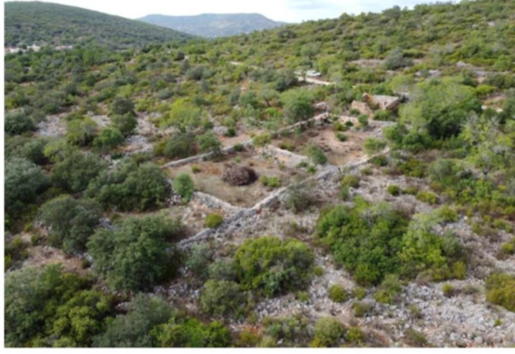 Terreno para Venda em Salir Foto 7