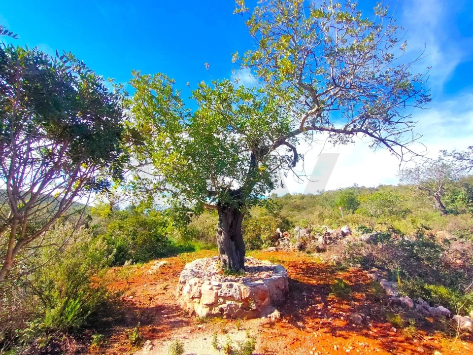 Terreno para Venda em Salir Foto 21