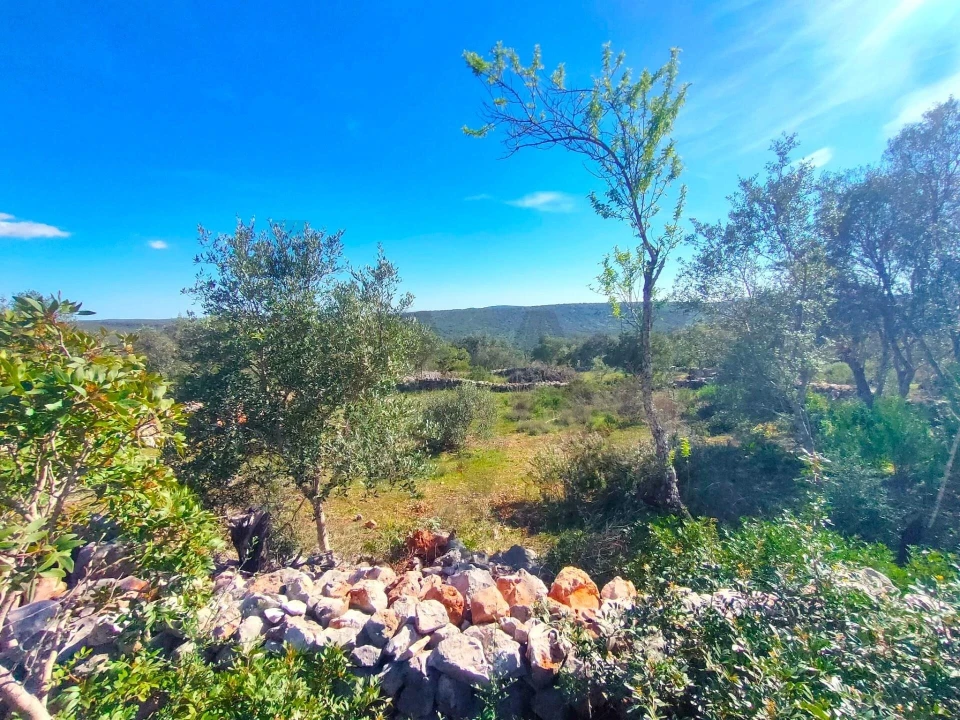 Terreno para Venda em Salir Foto 23