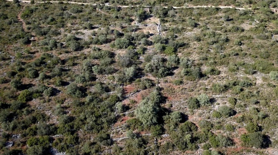 Terreno para Venda em Salir Foto 17
