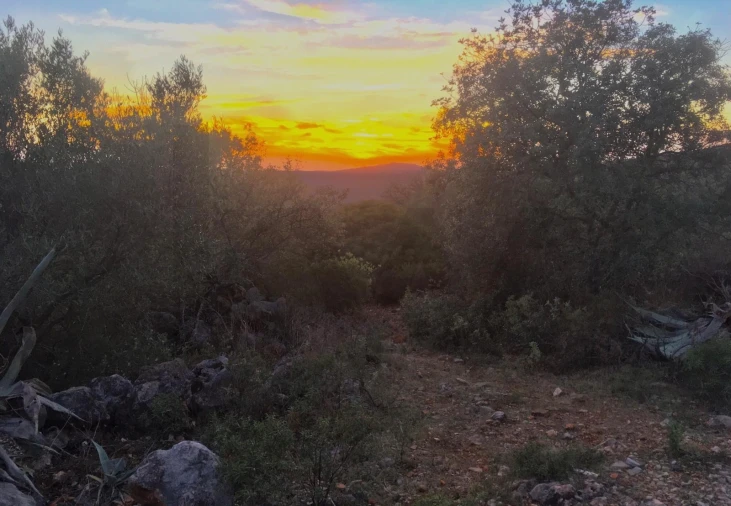 Terreno para Venda em Salir Foto 34