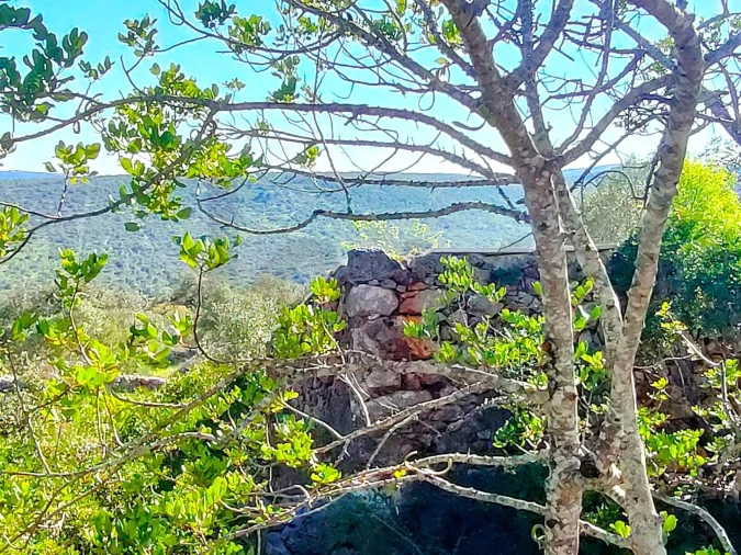 Terreno para Venda em Salir Foto 22