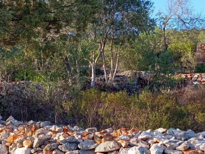 Terreno para Venda em Salir Foto 38