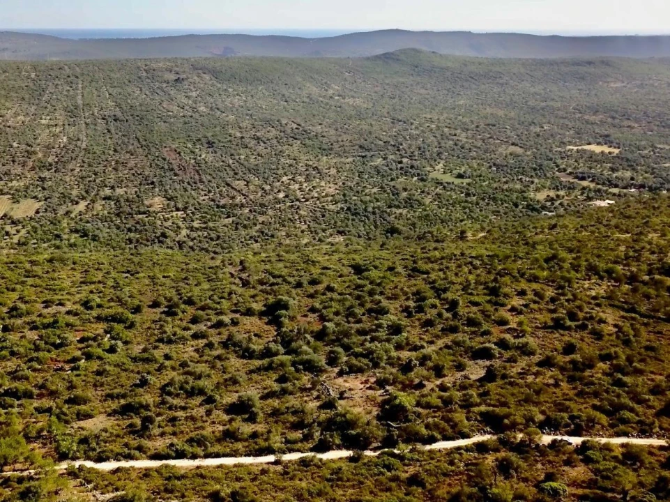 Terreno para Venda em Salir Foto 31