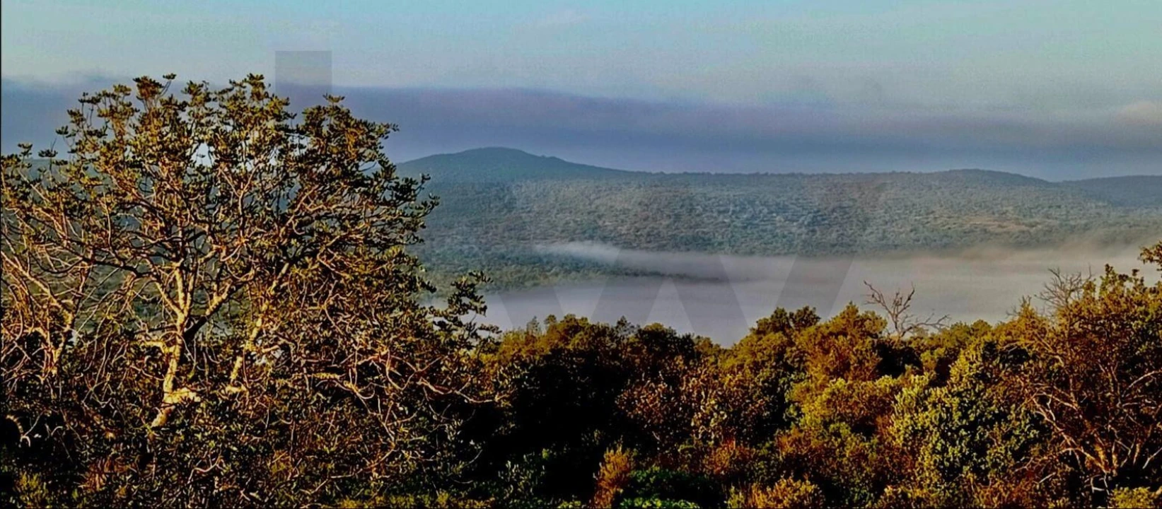 Terreno para Venda em Salir Foto 30