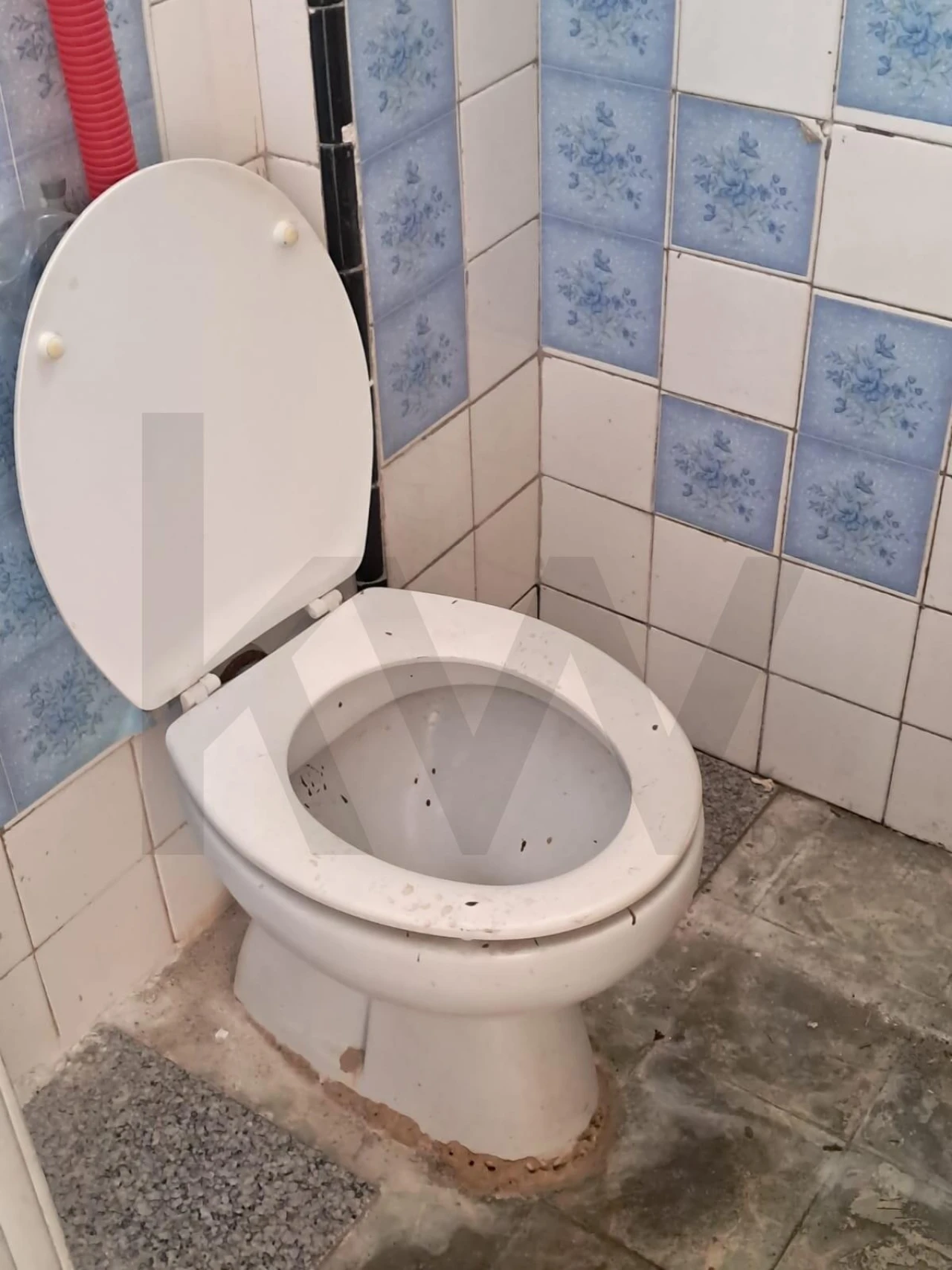 Loja para Venda em Ajuda Foto 15
