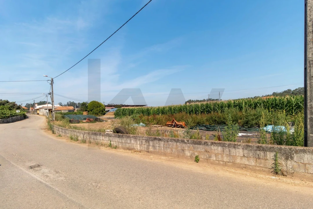 Terreno para Venda em Avanca Foto 19