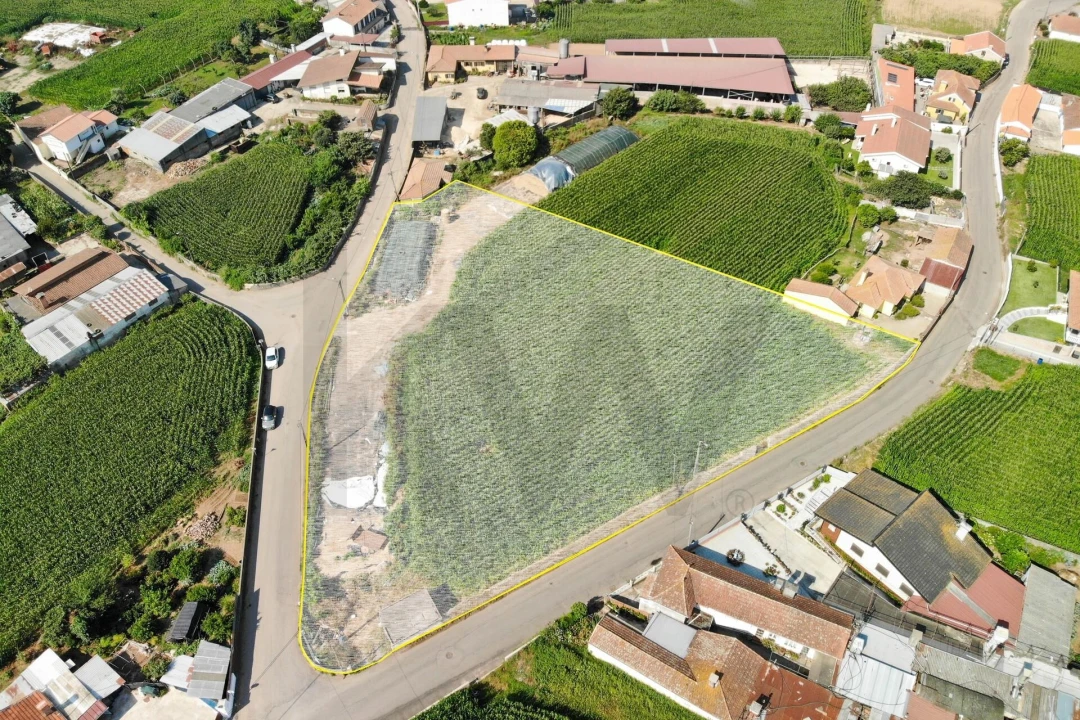 Terreno para Venda em Avanca Foto 4
